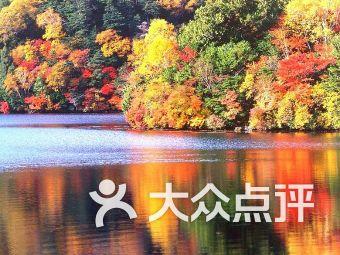 剑网3重制版
