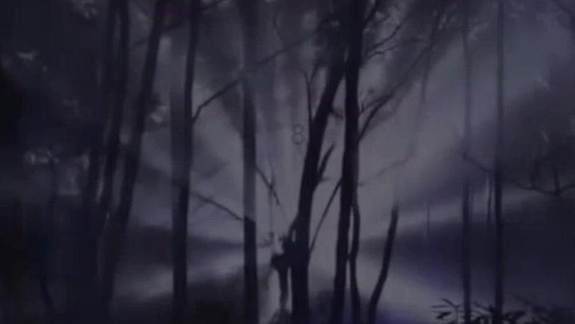 艾迪芬奇的记忆