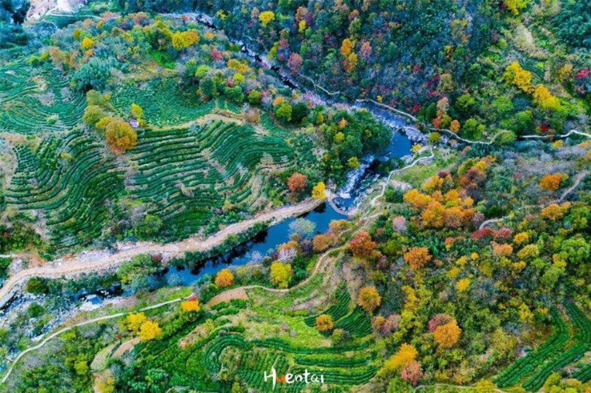 航空公司延误说明怎么写游戏画面