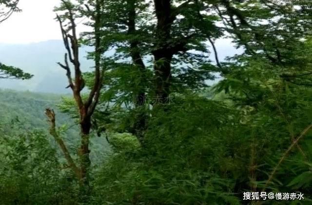 赶走噪声,雪佛兰探险者风噪、路噪、低频共鸣噪音解决方案