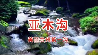 为百万村民送光影