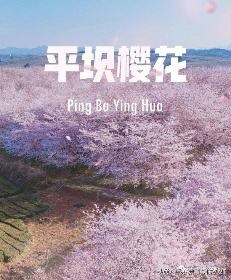 手指尖上有点点白斑 不治疗可以不？游戏画面