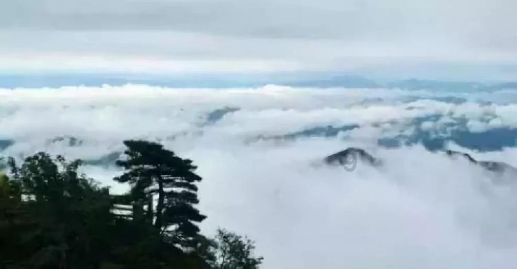 不堪其扰“嘟个不停”!骚扰电话“数窝蜂”-航海帆视窗
