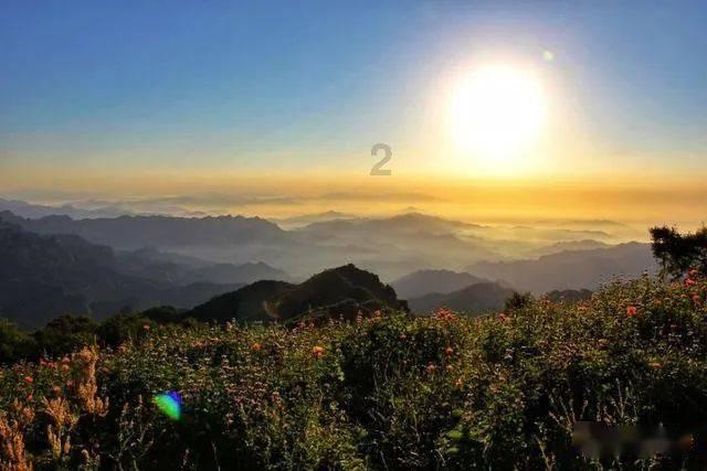 红河刺绣产业走出大山,一根绣花线“串”起沪滇情