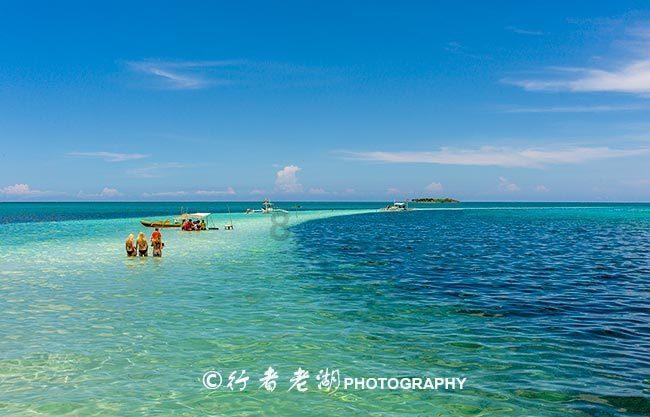 沪江开心词场
