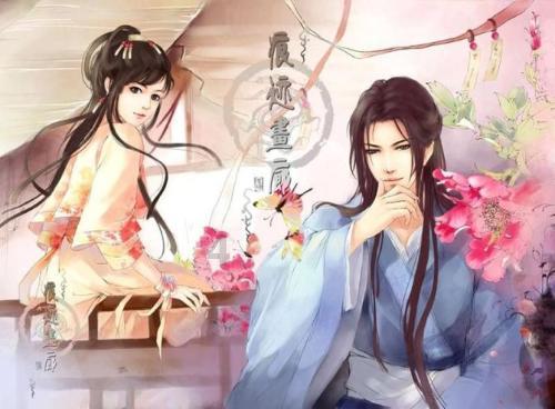 完美的收藏品