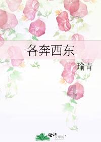 晚年的张爱玲,一生都在搬家,除了躲虫子,还有看破世态炎凉