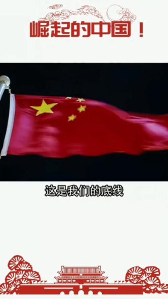 救援非洲金猫