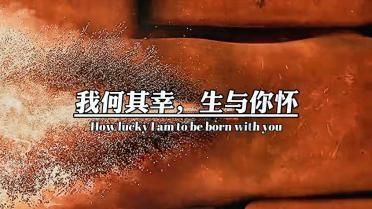 超店有数:2023年度TikTok电商行业趋势白皮书