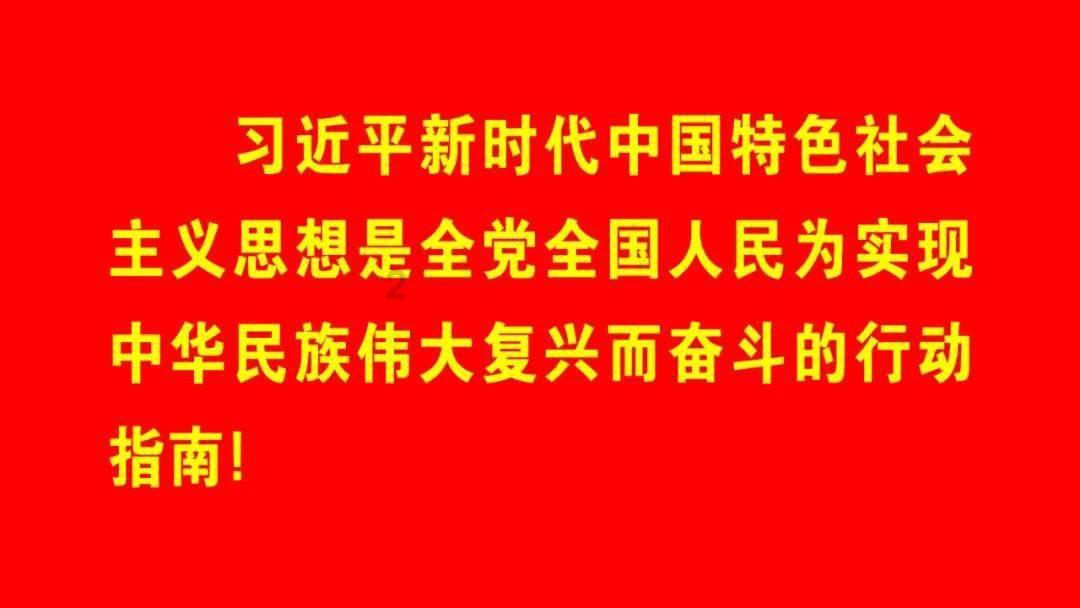 临沂市平邑县平邑街道与国际友人线上交流互动“山东手造”和传统文化