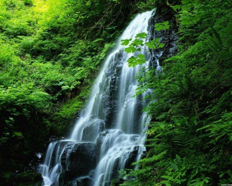 逃离废弃自然公园