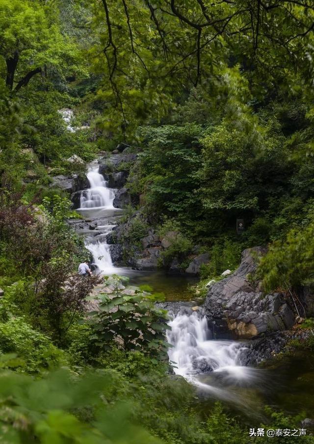 精灵格蕾