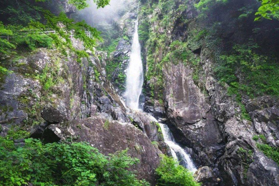 僵尸敲方块