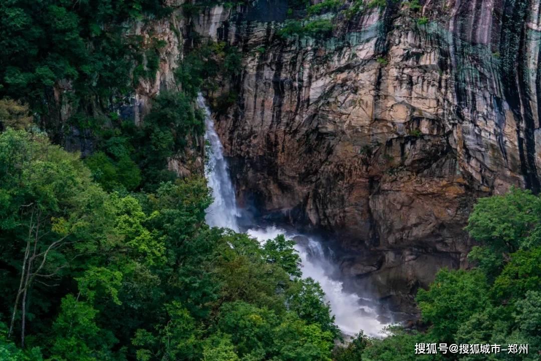 天然“养肾王”终于被发现,悍戈枸橼酸西地那非片助你提升男人味!