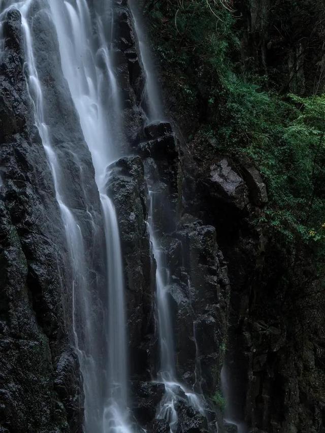 组装机械机甲暴龙2