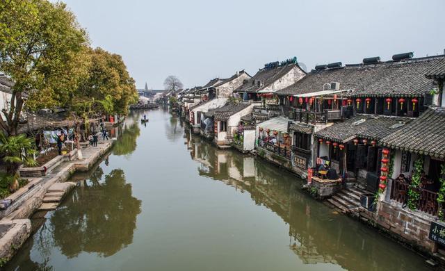 投资市场“风急浪大”，启牛学堂建议投资者学习“海龟”稳步前行