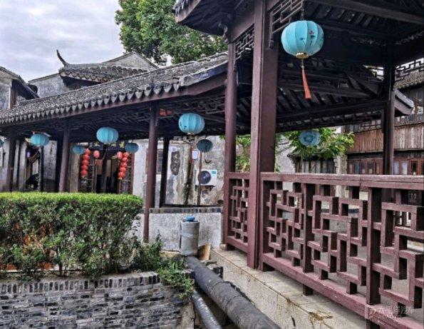 植物大战僵尸21