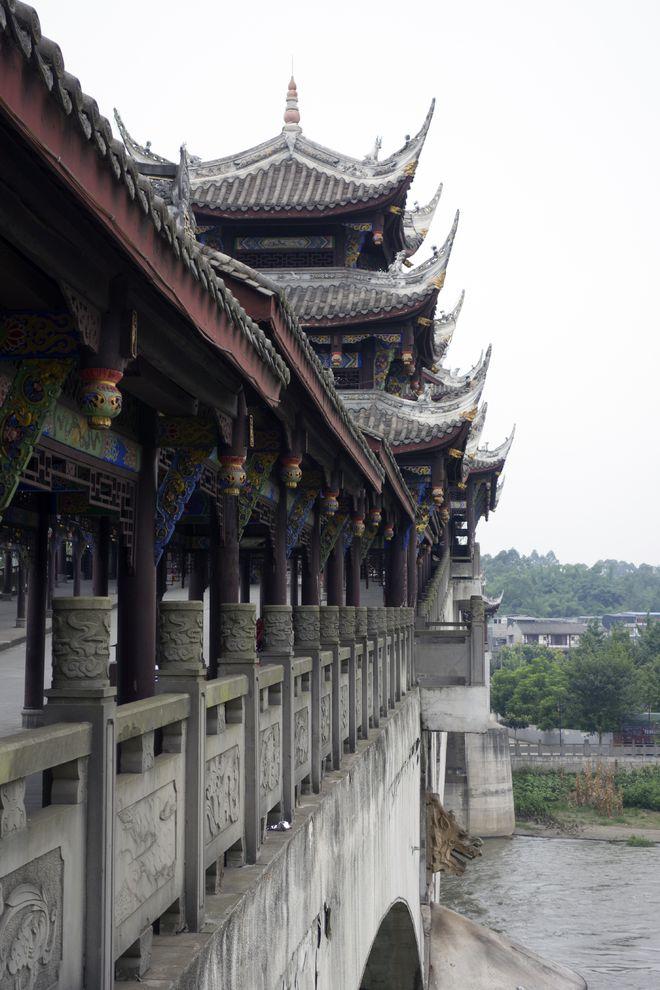 石斛扭出“枫”景图