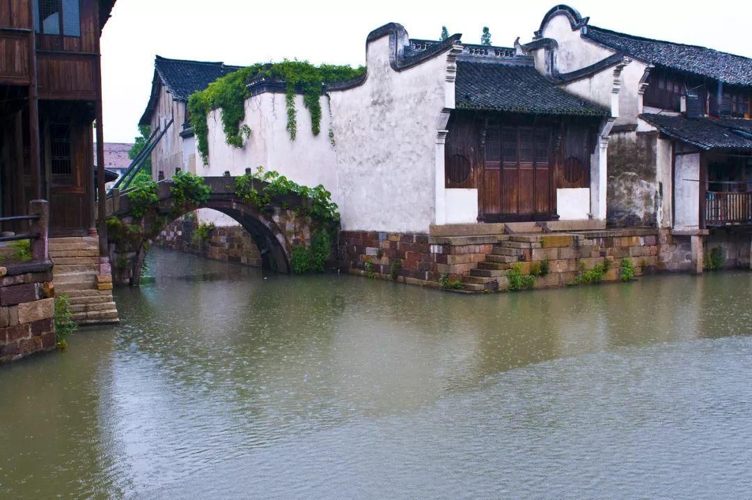 牧场物语希望之光