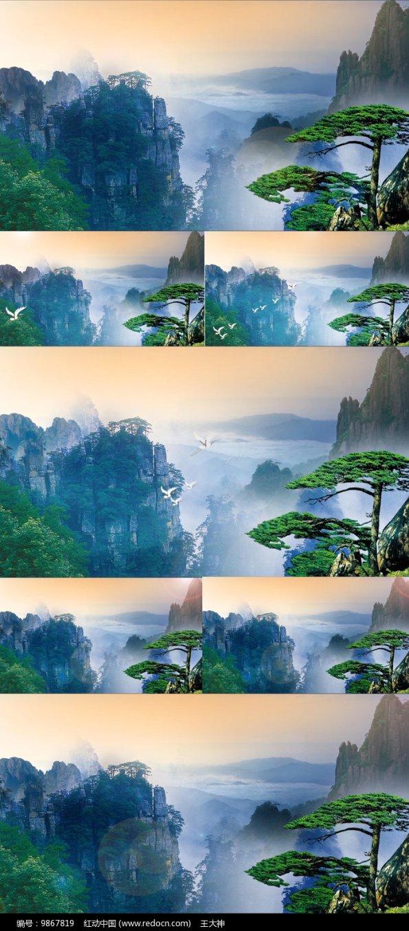 小猫钓鱼开船版最新版下载