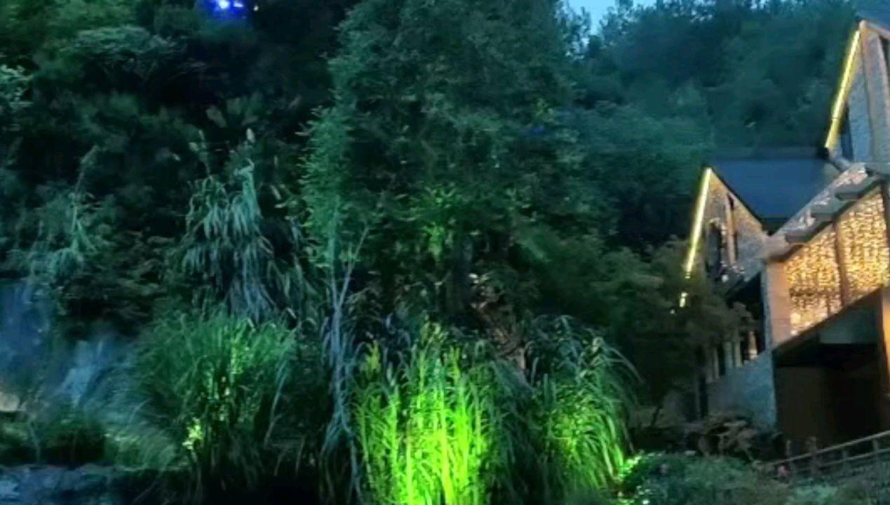 燃烧吧大脑装瓶子游戏